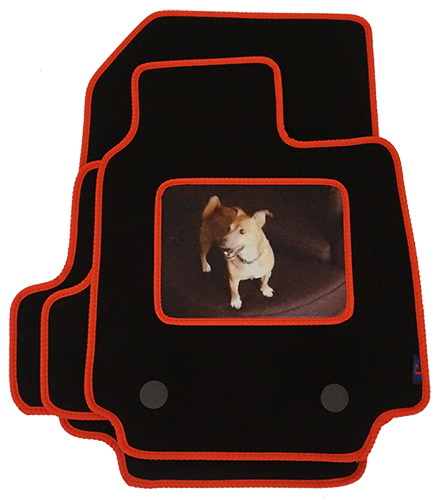 Your Favourite Photo of your Furry Friend on your Renault Clio Heelpad