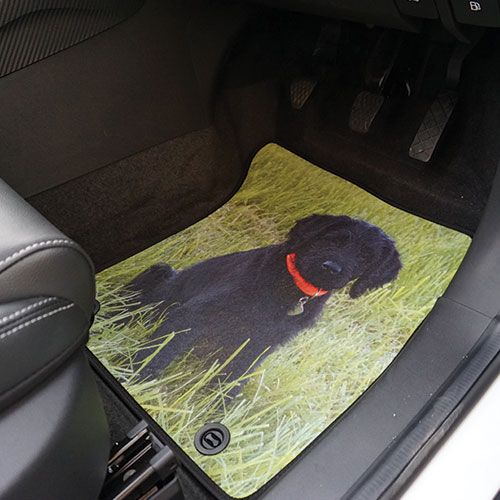 Personalised Car Mats - Your Image - Drivers Mat Example  