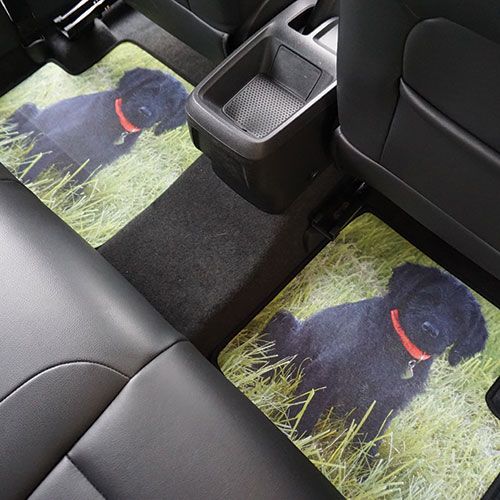 Personalised Car Mats - Your Image - Rear Pair Example