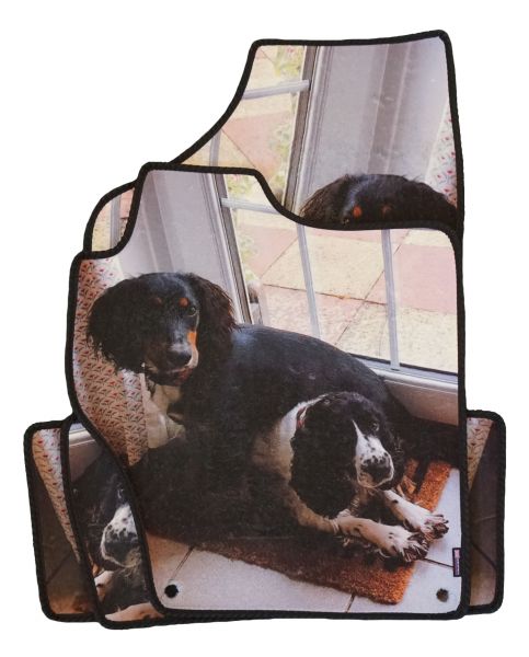 Have your favorite pet image full sized on your car mats - Citroen DS4